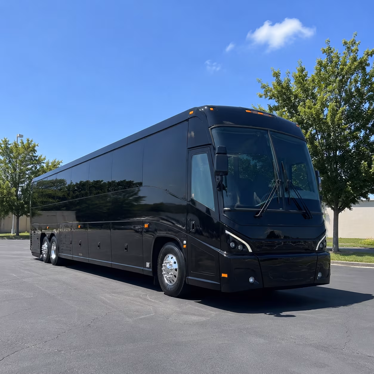 baton rouge 56 passenger charter bus